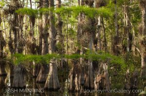 Josh Manring Journeyman Photography Gallery Naples Florida-19.jpg